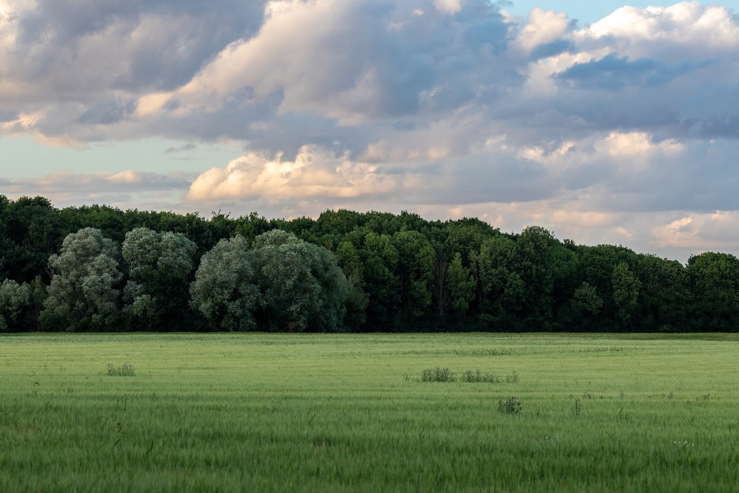Comment mieux interagir avec la nature