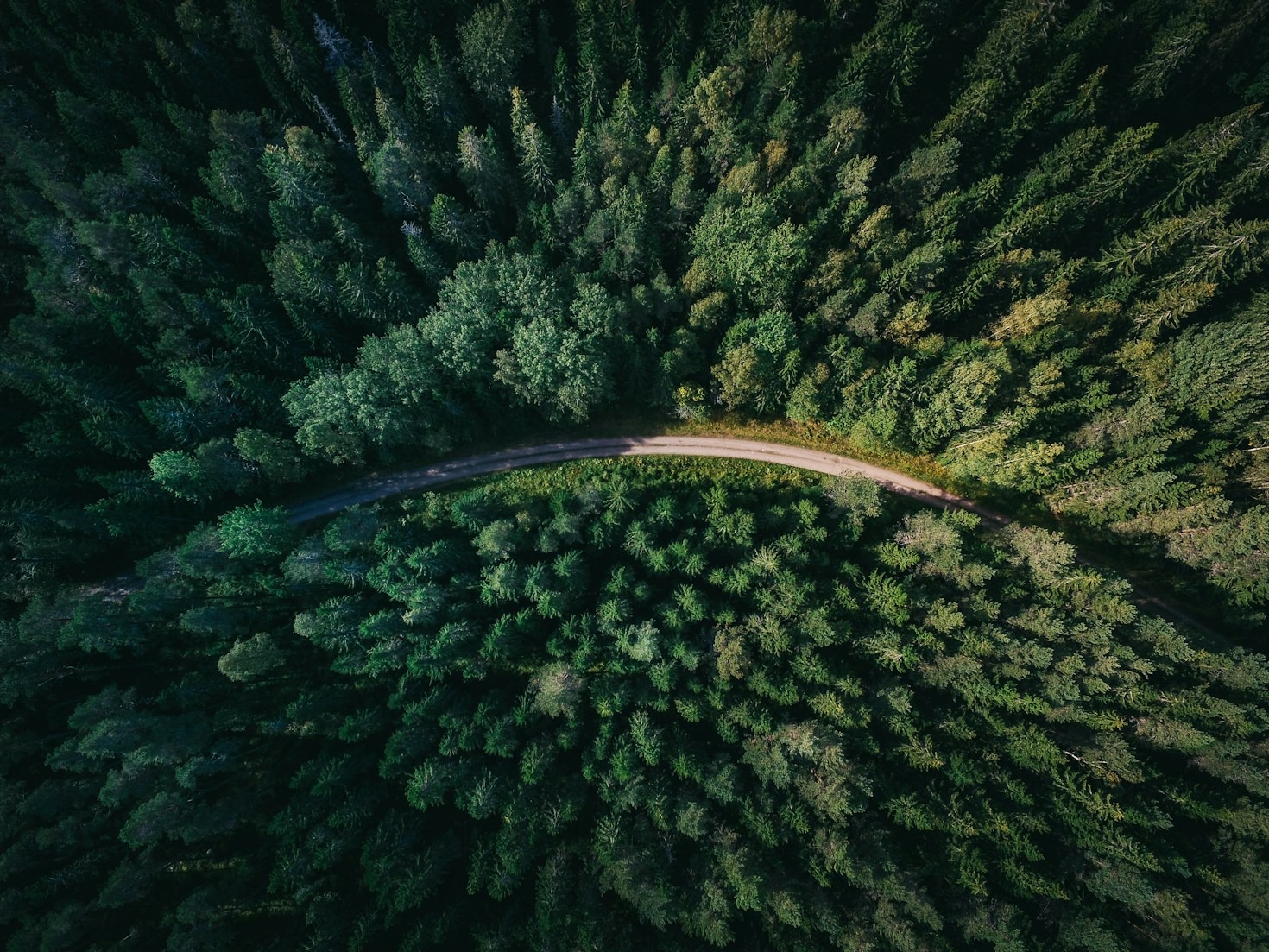 Les bienfaits de la biodiversité expliqués