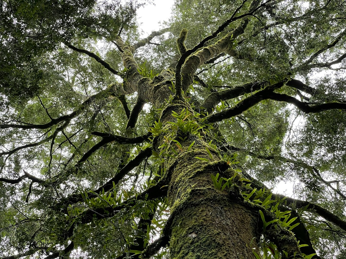 Vers un mode de vie plus respectueux de l&rsquo;environnement